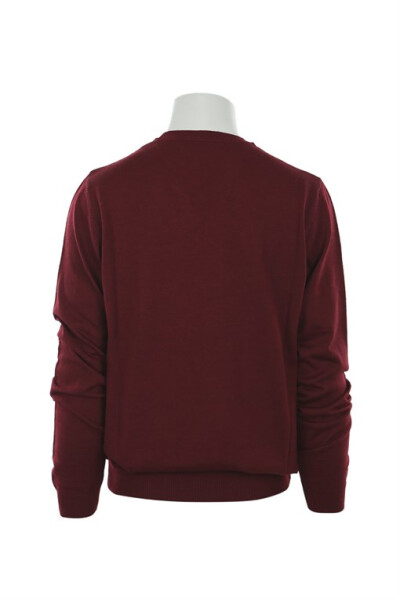 Burgundy Regular Fit Crew Neck Knit Sweater - 11