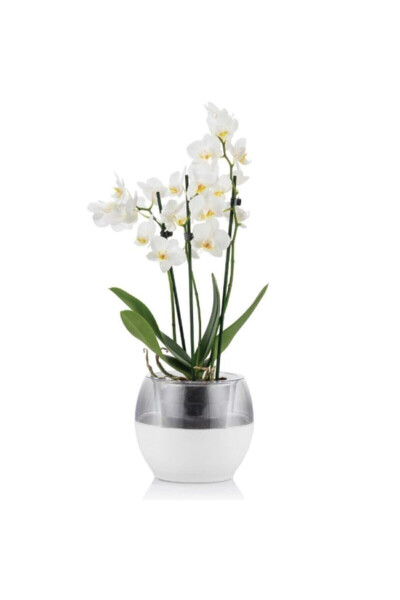 Buule Orchid Pot with Drainage 2 Lt White - 1