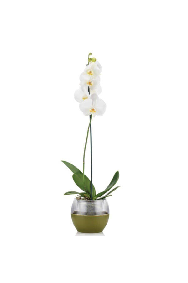 Buule Orchid Pot with Drainage 2 Lt White - 2