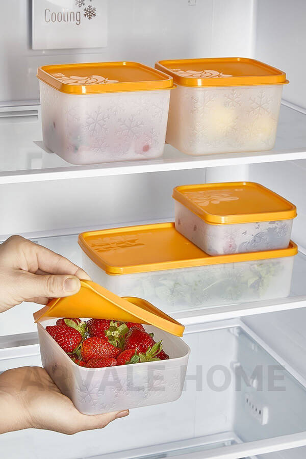 Buzzy Deep Freeze Freezer Compatible Storage Container Set - 5 Piece Set | No Frost Buzzy - 2