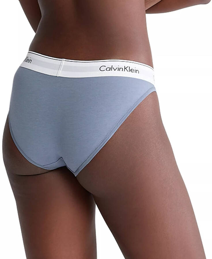 Calvin Klein Kadın Modern Pamuk Bikini Külot F3787 Flint Stone - 2