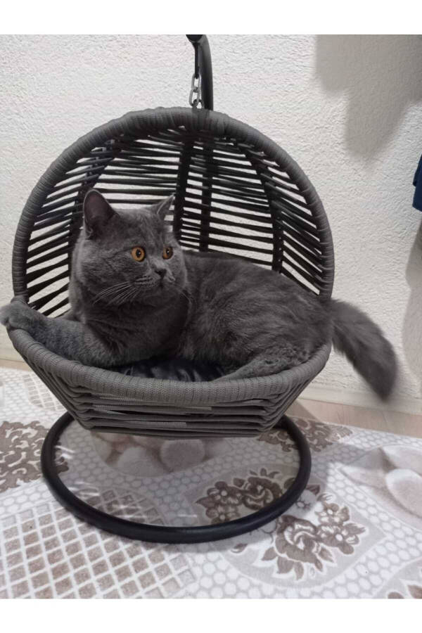 Cat Swing & Cat Bed (with Fixing Device) - 4