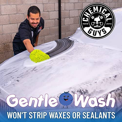 Chemical Guys CWS21616 Blueberry Snow Foam Car Wash Soap (Works with Foam Cannons, Foam Guns or Bucket Washes), Safe for Cars, Trucks, SUVs, Jeeps, Motorcycles, RVs & More, 16 fl. Oz - 3