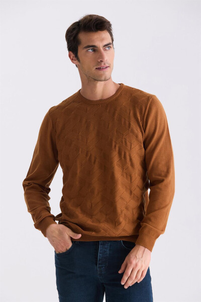 Cinnamon Slim Fit Crew Neck Patterned Knit Sweater - 1