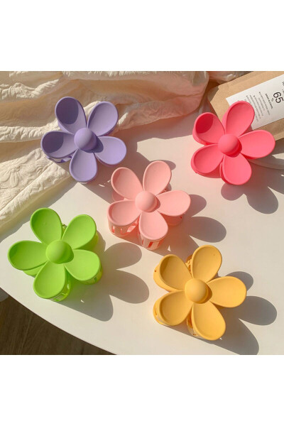 Colorful Women's Hair Clip Set of 5 - 6