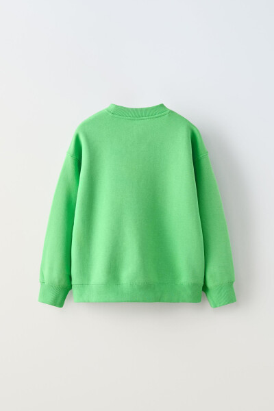 Cotton Basic Sweatshirt - Green / Ecru - 3