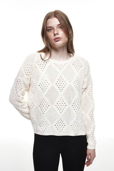 Crew Neck Holey Knit Sweater - 1