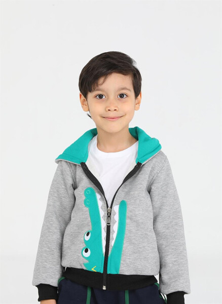 Crocodile Patterned Boys Zipper Sweatshirt - 2