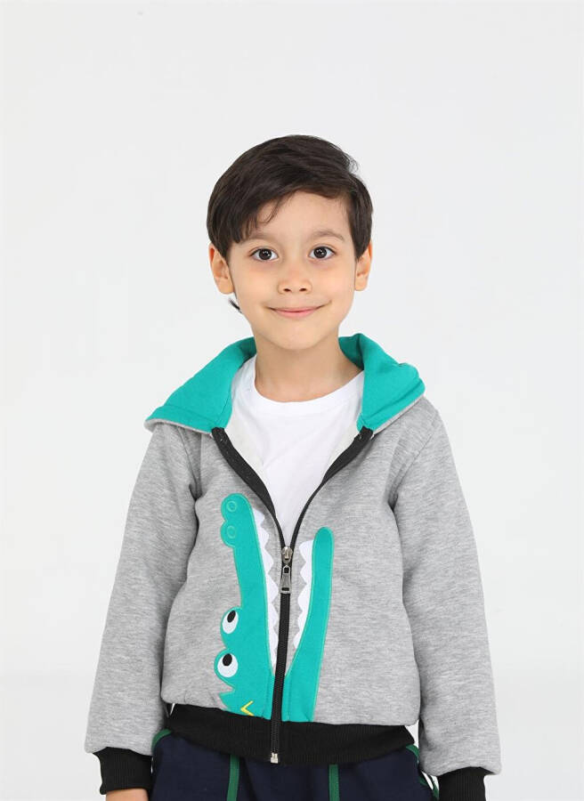 Crocodile Patterned Boys Zipper Sweatshirt - 2