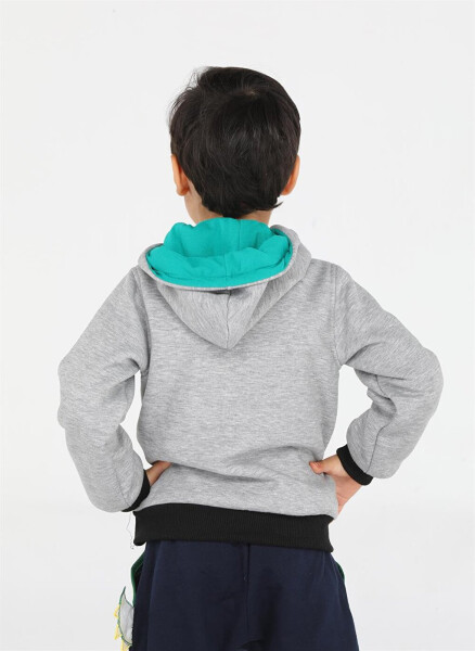 Crocodile Patterned Boys Zipper Sweatshirt - 3