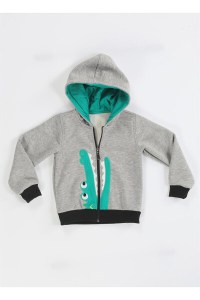 Crocodile Patterned Boys Zipper Sweatshirt - 4