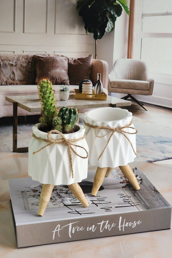 Decorative Pot, Twin Concrete Pot Set, Decorative Cactus And Succulent Pot - 7