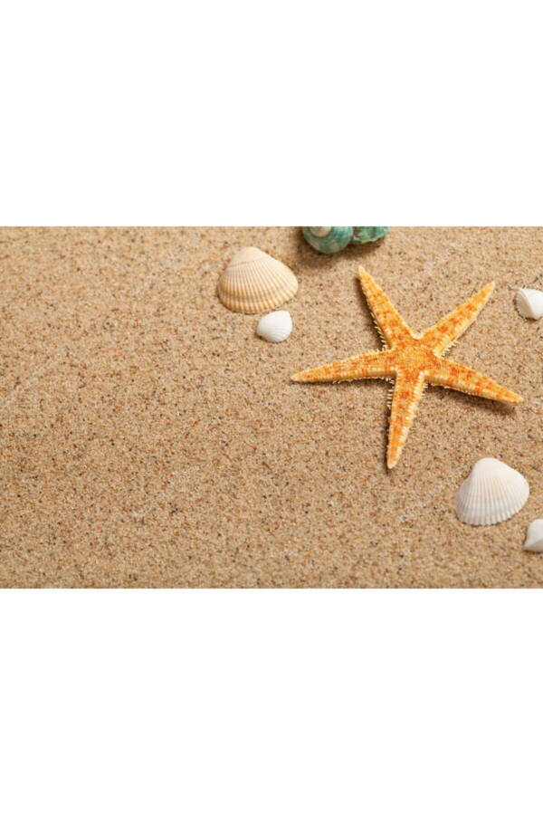 Dried Starfish 2 Pieces 7x10cm Natural Starfish Decorative Ornament Supplies Seafood - 7