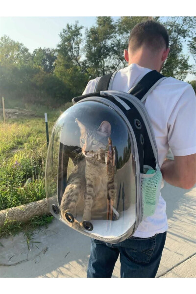 Elips Kedi Taşıma Çantası Siyah El Ve Sırt Çantası 6 Hava Kanalı 2 Fileli Cep Kedi Taşıma Çantası - 5