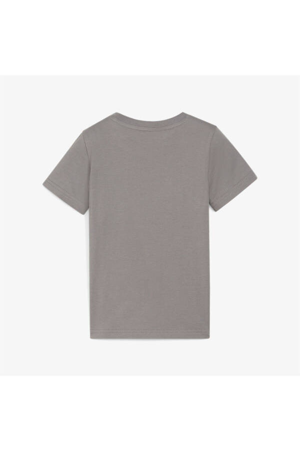 Ess Summer Camp Kids Grey T-shirt - 5