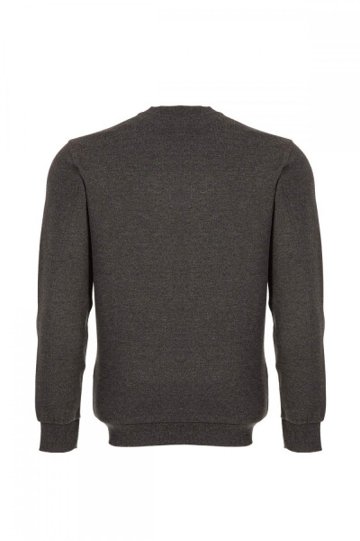 Büyük Beden Regular Fit Kadife Selanik Basic Erkek Bisiklet Yaka Sweatshirt - 2