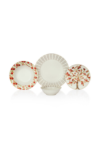 Fiesta Dinner Set 24 Pieces - Pomegranate Print - 11