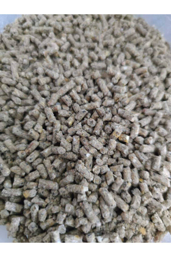 Free-Range Chicken Egg Feed Pellets 5 Kg - 3