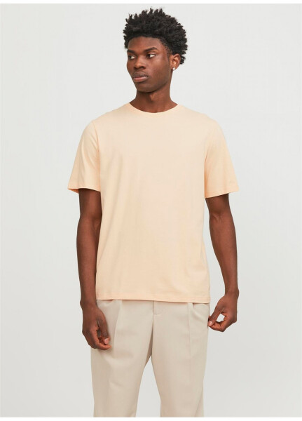 Футболка мужская Jack & Jones с круглым вырезом оранжевого цвета JJEORGANIC BASIC TEE SS O-NECK NOOS - 15