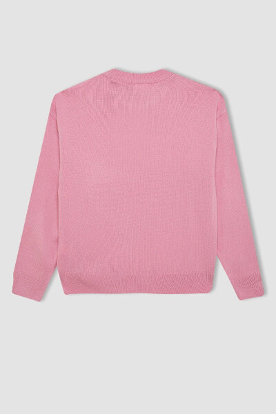 Girls' Standard Fit Crewneck Sweater C6902A824AU - 3