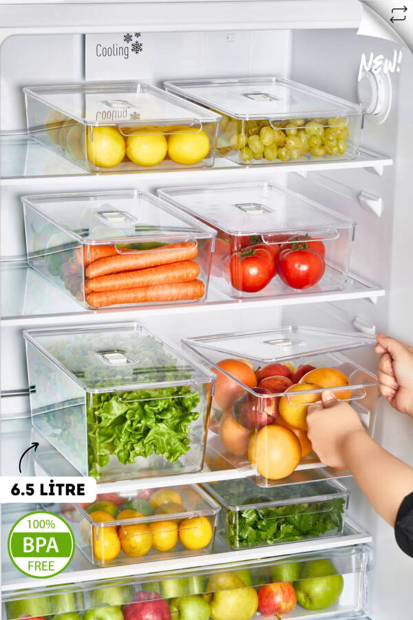 Gloss 2-Pack XXL Lidded Refrigerator & Cabinet Organizer - 2