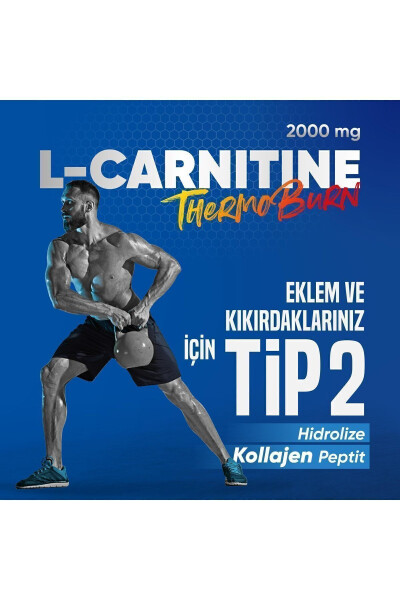 Hola Fit L-Carnitine 2000 Mg Type 2 Collagen / 15 Shot Forest Fruit - 2