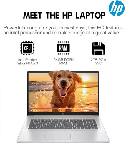 HP 2024 Eng yangi 17 dyuymli noutbuk, 17.3” HD+ Tegin ekranli noutbuk kompyuteri, Intel Pentium Silver N5030, 64GB DDR4 RAM, 2TB SSD, Windows 11, 1 yillik Office 365, Uzoq batareya muddati, Veb-kamera, Wi-Fi, USB-C, Kumush - 3