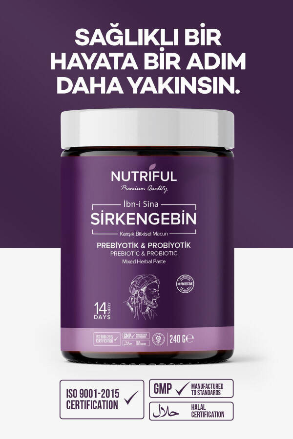 Ibn-i Sina Sirkengebin Prebiotic Paste - 1