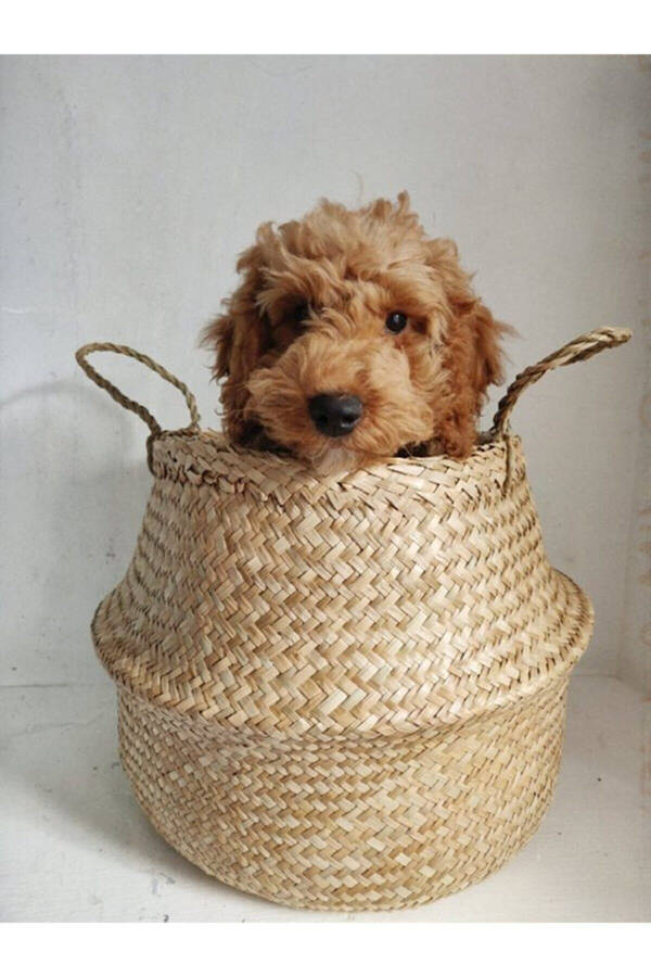 Ikeanatural Large Foldable Wicker Basket / Planter 35x32cm - 8