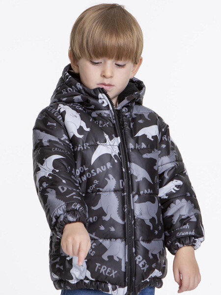 Kids Boys Jacket with Welsoft Lining, Dinosaur Pattern, with Hood AK2509 - 3