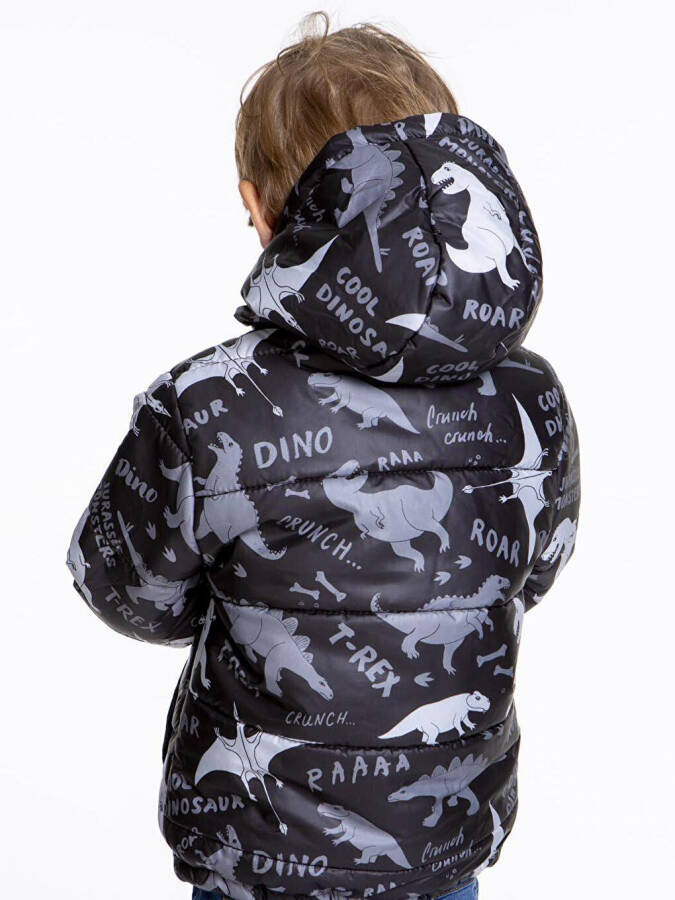 Kids Boys Jacket with Welsoft Lining, Dinosaur Pattern, with Hood AK2509 - 5