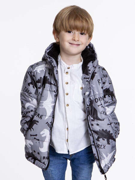 Kids Boys Winter Jacket with Welsoft Lining, Dinosaur Pattern, Hooded Jacket AK2509 - 1