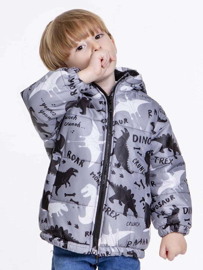 Kids Boys Winter Jacket with Welsoft Lining, Dinosaur Pattern, Hooded Jacket AK2509 - 2