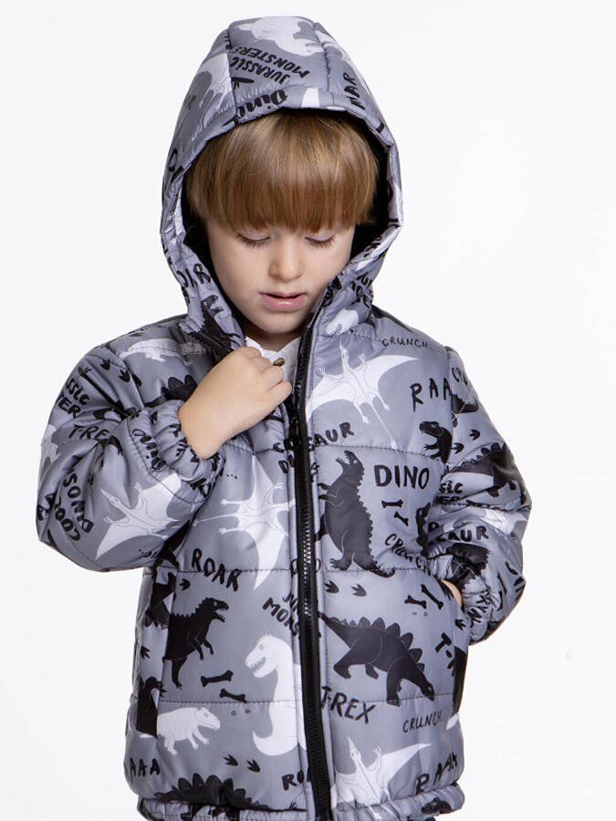 Kids Boys Winter Jacket with Welsoft Lining, Dinosaur Pattern, Hooded Jacket AK2509 - 4