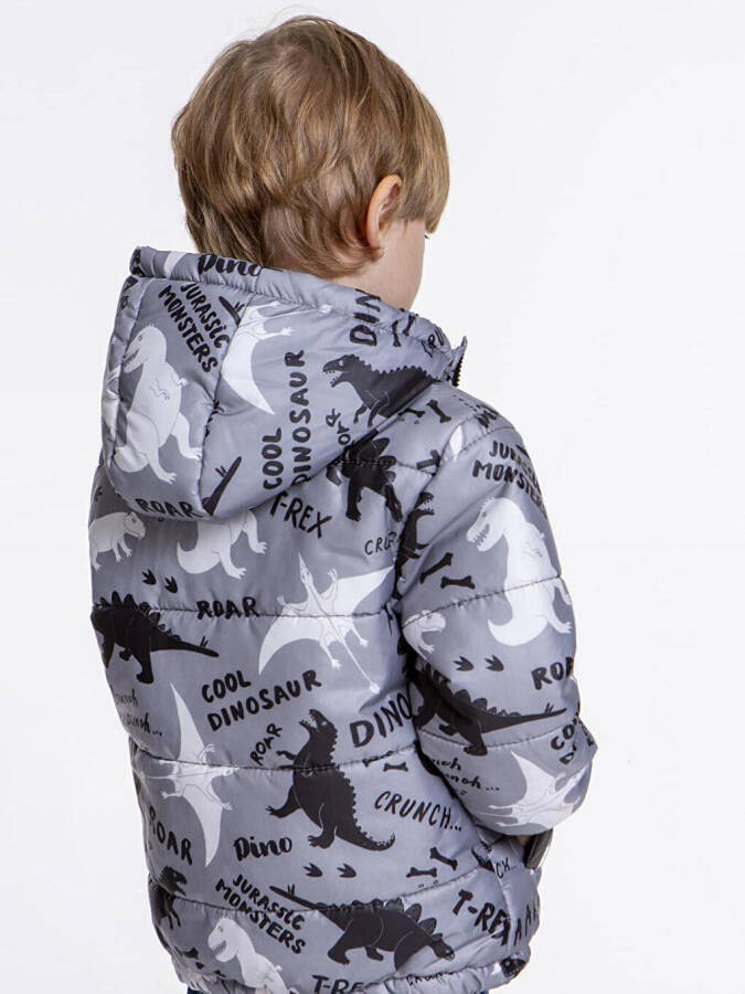 Kids Boys Winter Jacket with Welsoft Lining, Dinosaur Pattern, Hooded Jacket AK2509 - 6