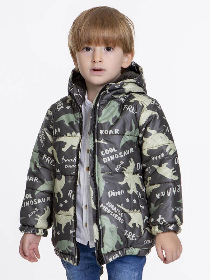 Kids Boys Winter Jacket with Welsoft Lining, Dinosaur Patterned, Hood AK2509 - 11