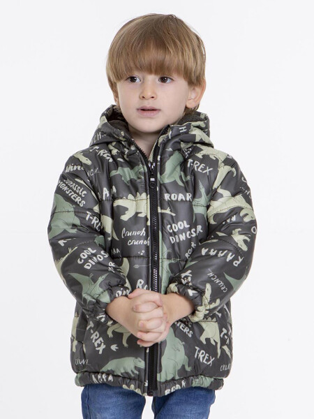 Kids Boys Winter Jacket with Welsoft Lining, Dinosaur Patterned, Hood AK2509 - 12