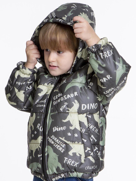 Kids Boys Winter Jacket with Welsoft Lining, Dinosaur Patterned, Hood AK2509 - 14