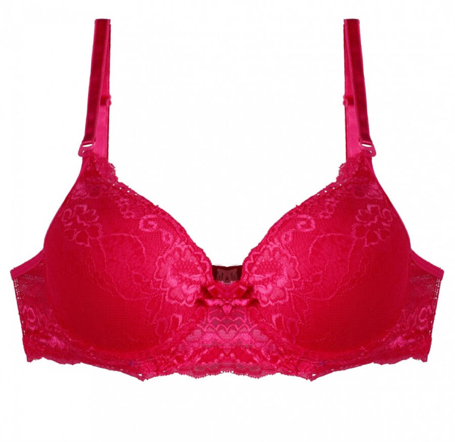 Lace Supported Bra B Cup 141 - 1