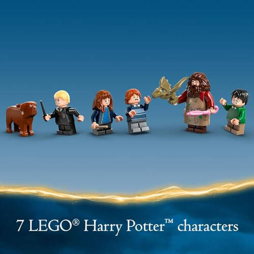 LEGO Harry Potter Hagrid’s Hut: An Unexpected Visit, Harry Potter Toy with 7 Characters and a Dragon for Magical Role Play, Buildable House Toy, Gift Idea for Girls, Boys and Kids Ages 8 and Up, 76428 - 30