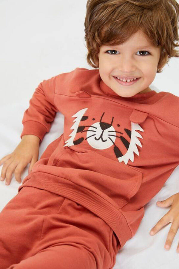 Long sleeve, cotton, fleece, lion printed, kangaroo pocket, ear appliqué, baby boy bike neck. - 2