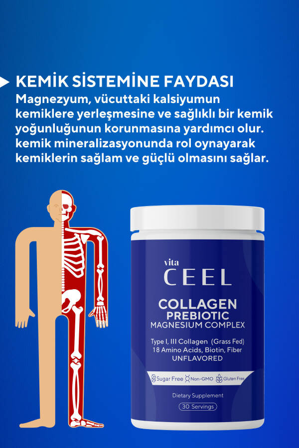 Magnezyum Kompleksi ve 1. ve 3. Tip Kolajen İçeren Bisglisinat, Malat, Sitrat, B6 - 14