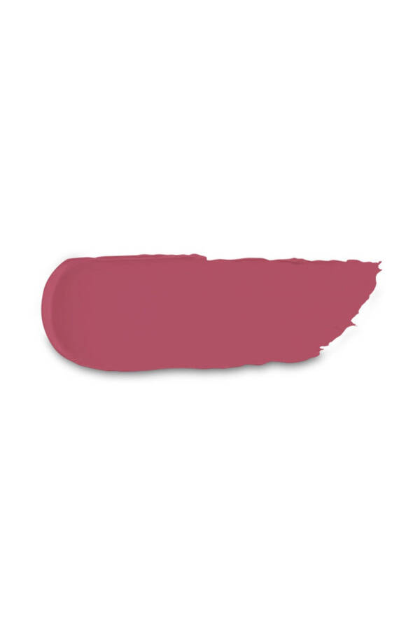 Matte Lipstick - Powder Power Lipstick 06 French Rose - 2