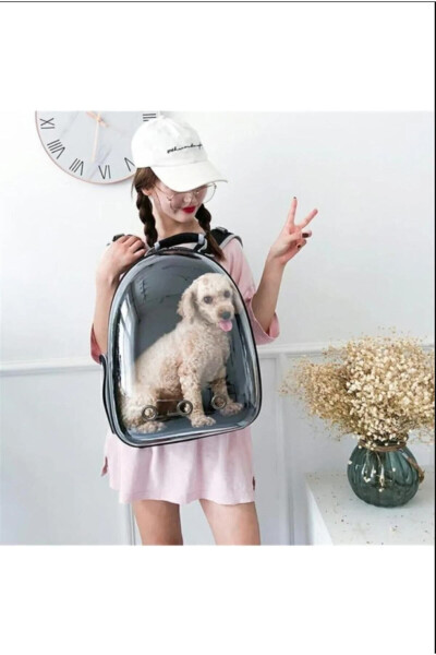 Mesh Openable Transparent Astronaut Cat Dog Pet Carrier Bag - 10