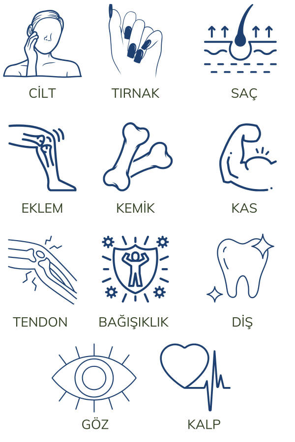 Multi Kolajen 90 Tablet - Tip 1-2-3-5-10 Kolajen MSM Magnezyum C Vitamini Yumurta Kabuğu Zarı Çinko - 3