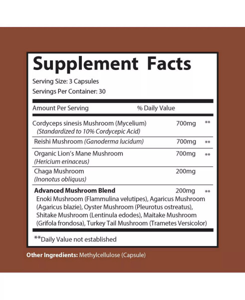MUSHROOM COMPLEX - Odaklanma ve Enerji Takviyesi - 10 Mantar Karışımı - Aslan Yelesi, Reishi, Kordyseps, Chaga, Maitake, Şitake, Hindi Gülü Mantarı | 90 Kapsül Renksiz - 3