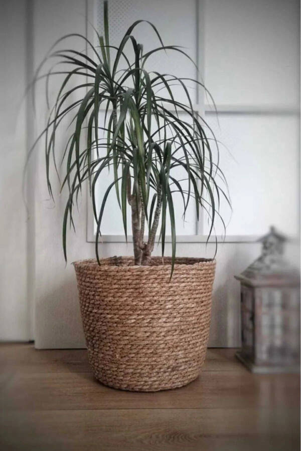 Natalie - Decorative Natural Hand-Woven Wicker Large Planter Basket 31 Cm - 21