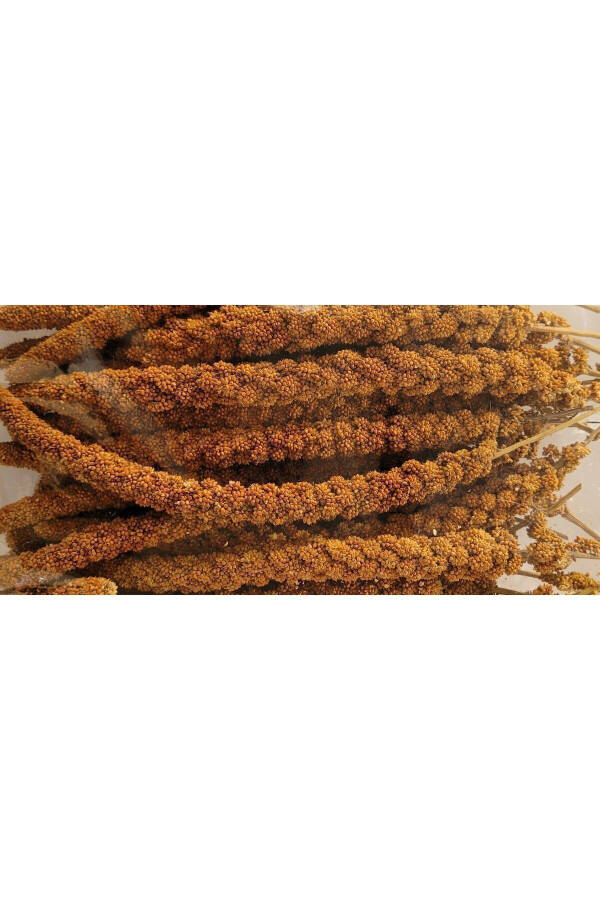 Natural Production Red Seaweed (500 GR.) - 11