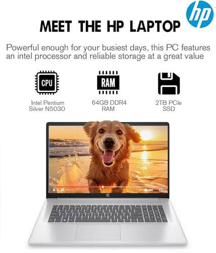 Ноутбук HP 2024 Новейший 17, 17.3” HD+ Сенсорный экран, Intel Pentium Silver N5030, 64 ГБ DDR4 ОЗУ, 2 ТБ SSD, Windows 11, 1 год Office 365, Долгое время автономной работы, Веб-камера, Wi-Fi, USB-C, Серебристый - 10