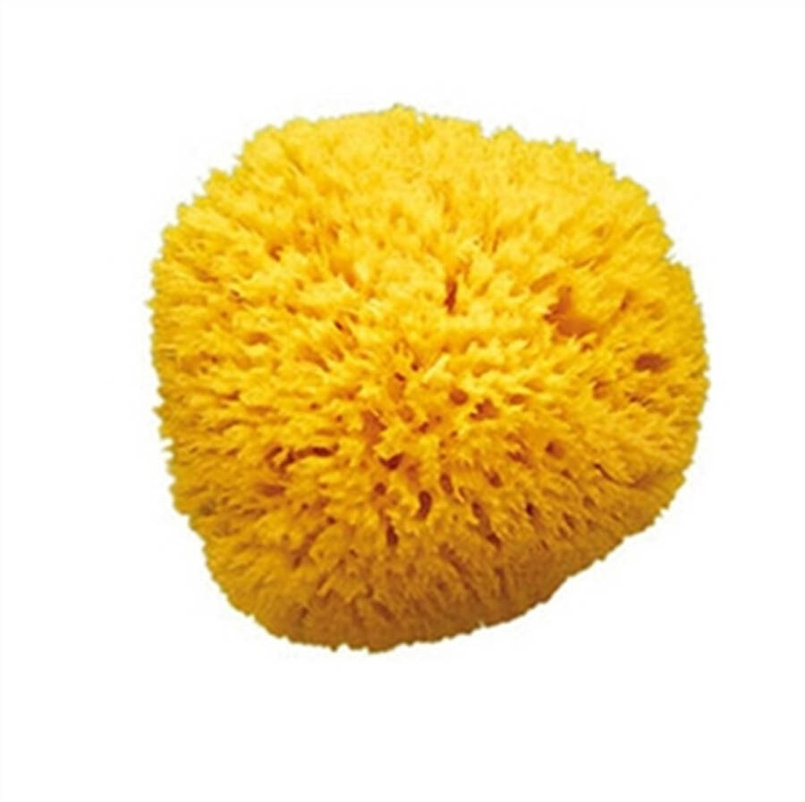 OkBaby Natural Bath Sponge / Medium - 1